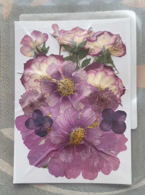 Flores Naturais secas prensadas