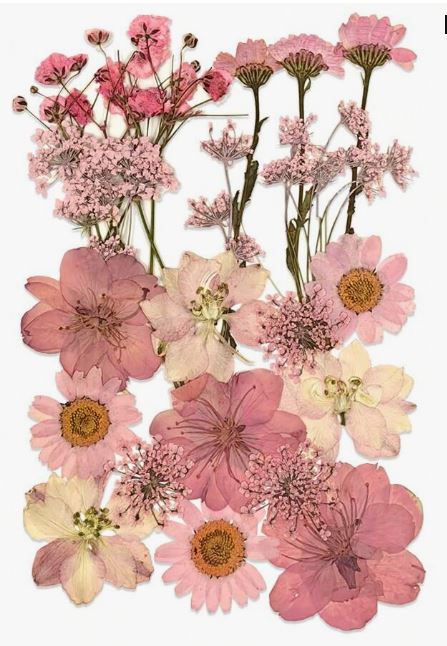 Flores Naturais secas prensadas