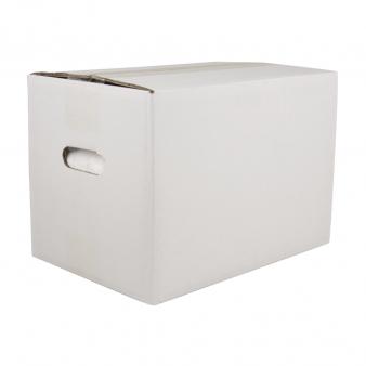 PO CERAMICO RAYSIN 100 WHITE 25KG RAYHER