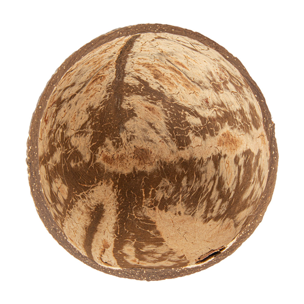 Coconut Bowl 320 ml Natural