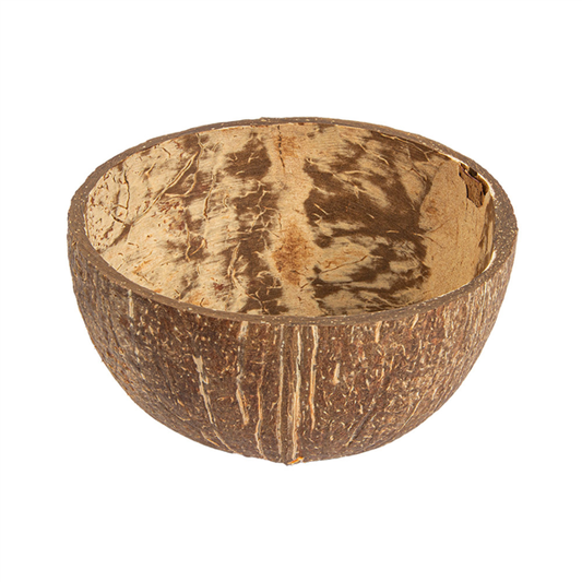 Coconut Bowl 320 ml Natural