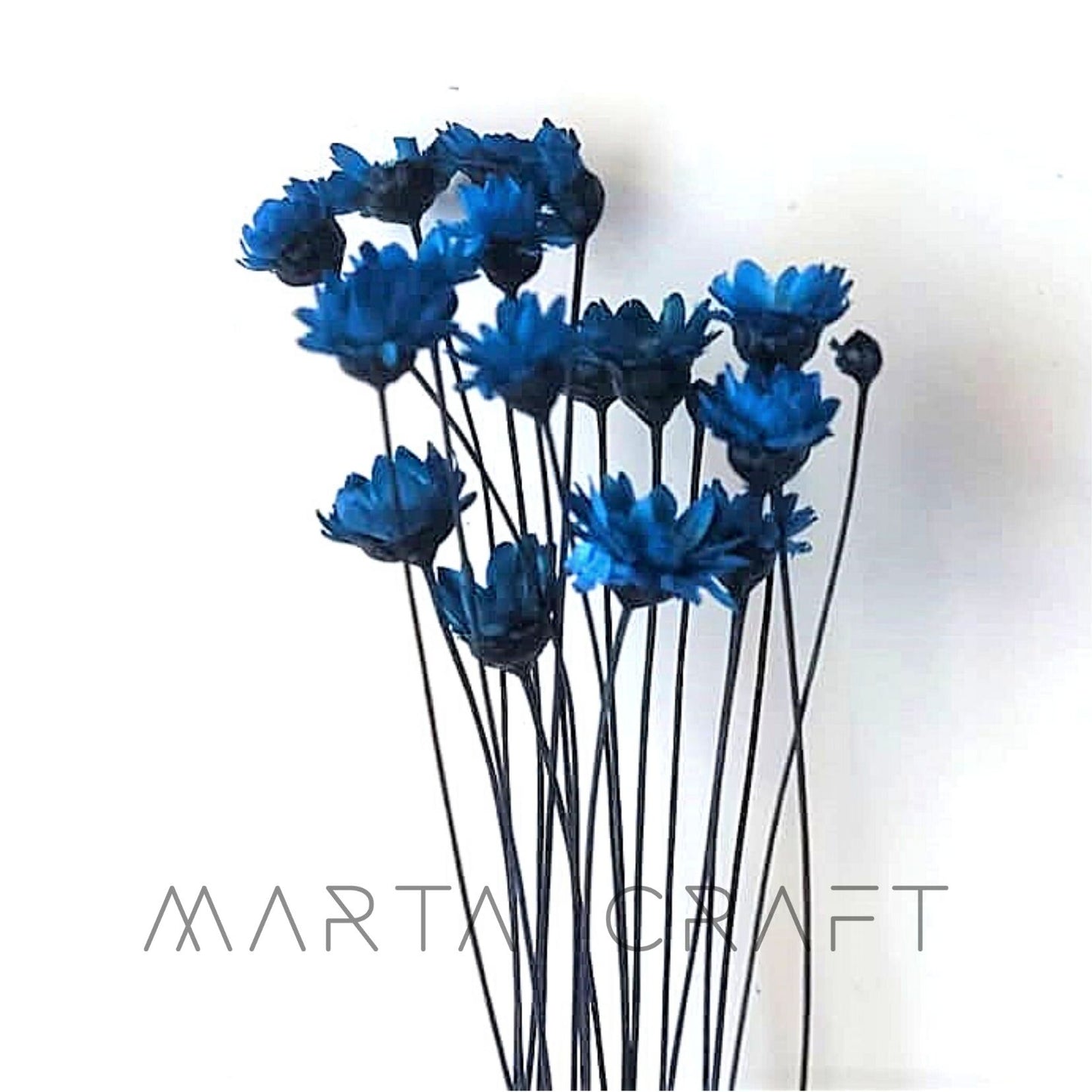 Glixias Flores Secas Preservadas ( Mini )± 100 cabeças