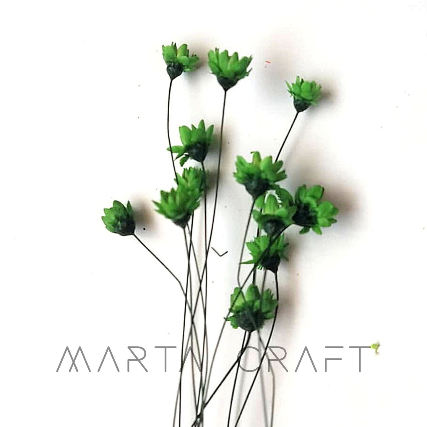 Glixias Flores Secas Preservadas ( Mini )± 100 cabeças