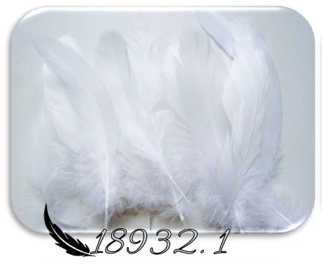 Pack de 15 penas Brancas