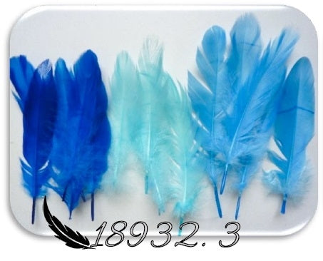 Pack de 15 penas Azuis