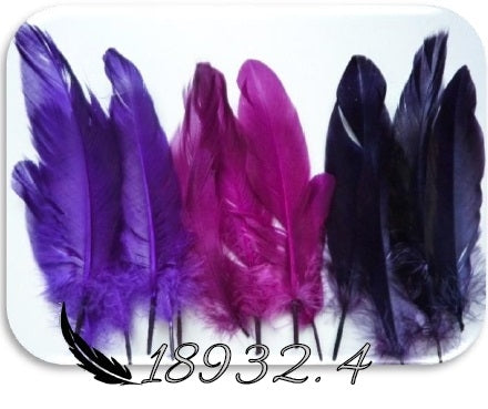 Pack de 15 penas Violetas