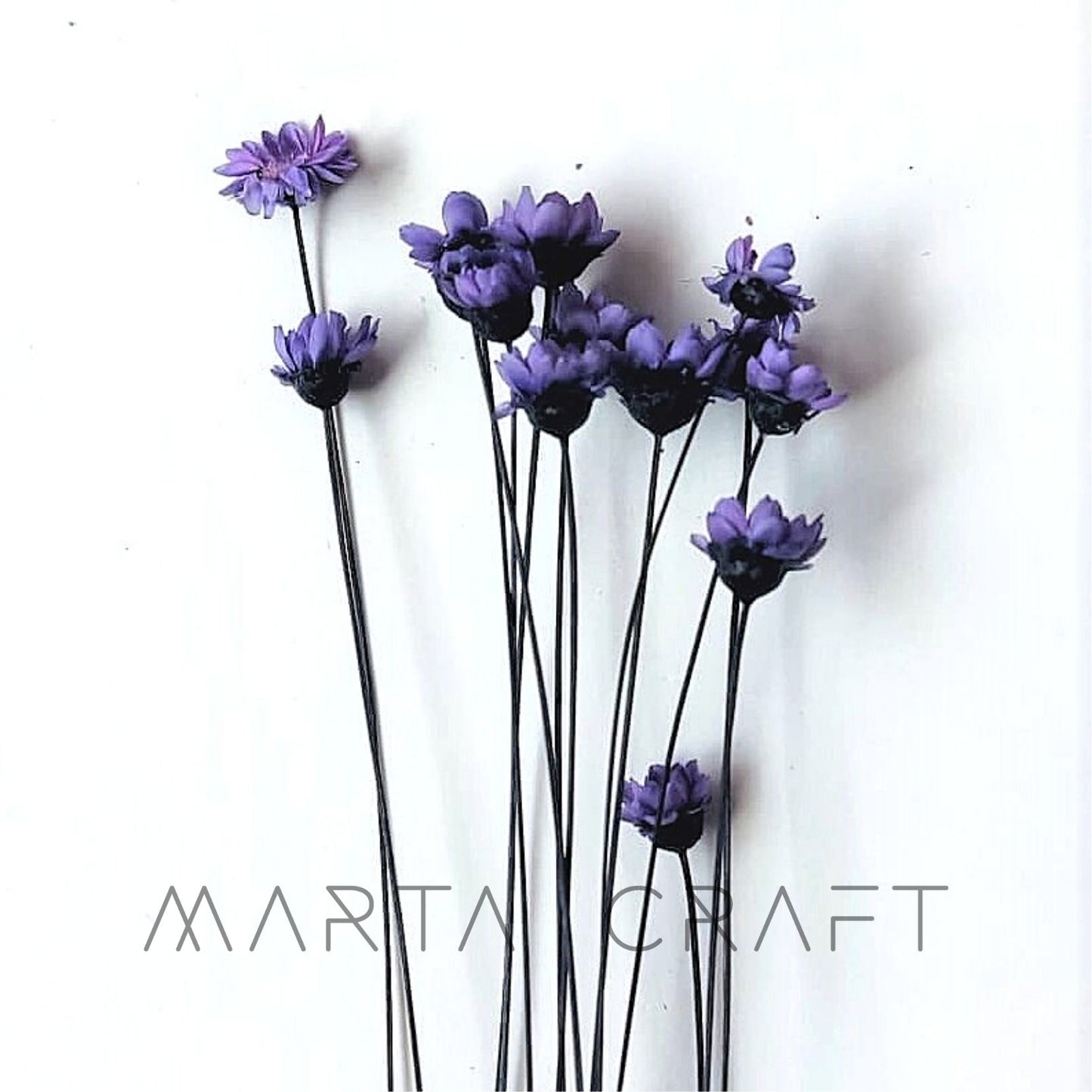 Glixias Flores Secas Preservadas ( Mini )± 100 cabeças