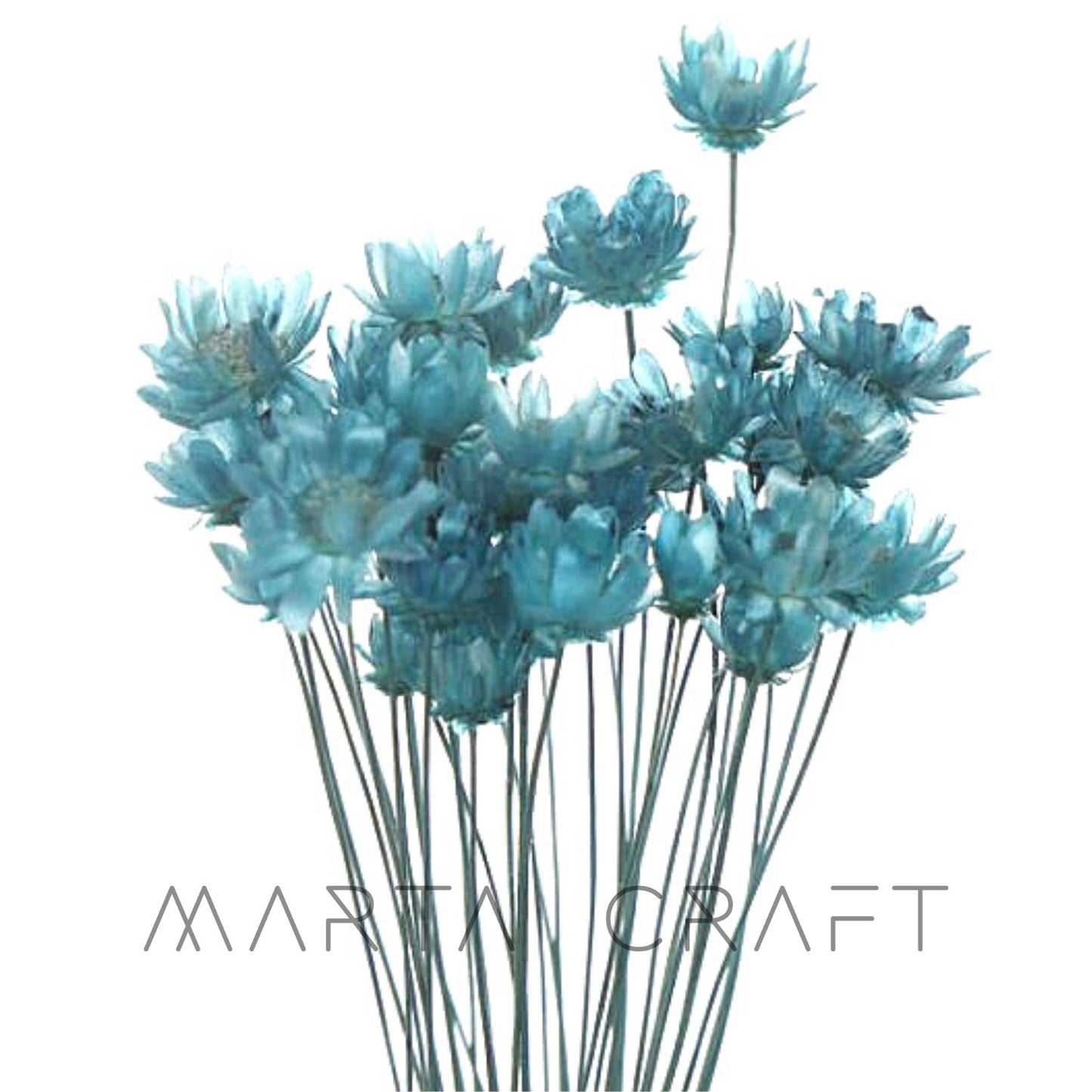 Glixias Flores Secas Preservadas ( Mini )± 100 cabeças