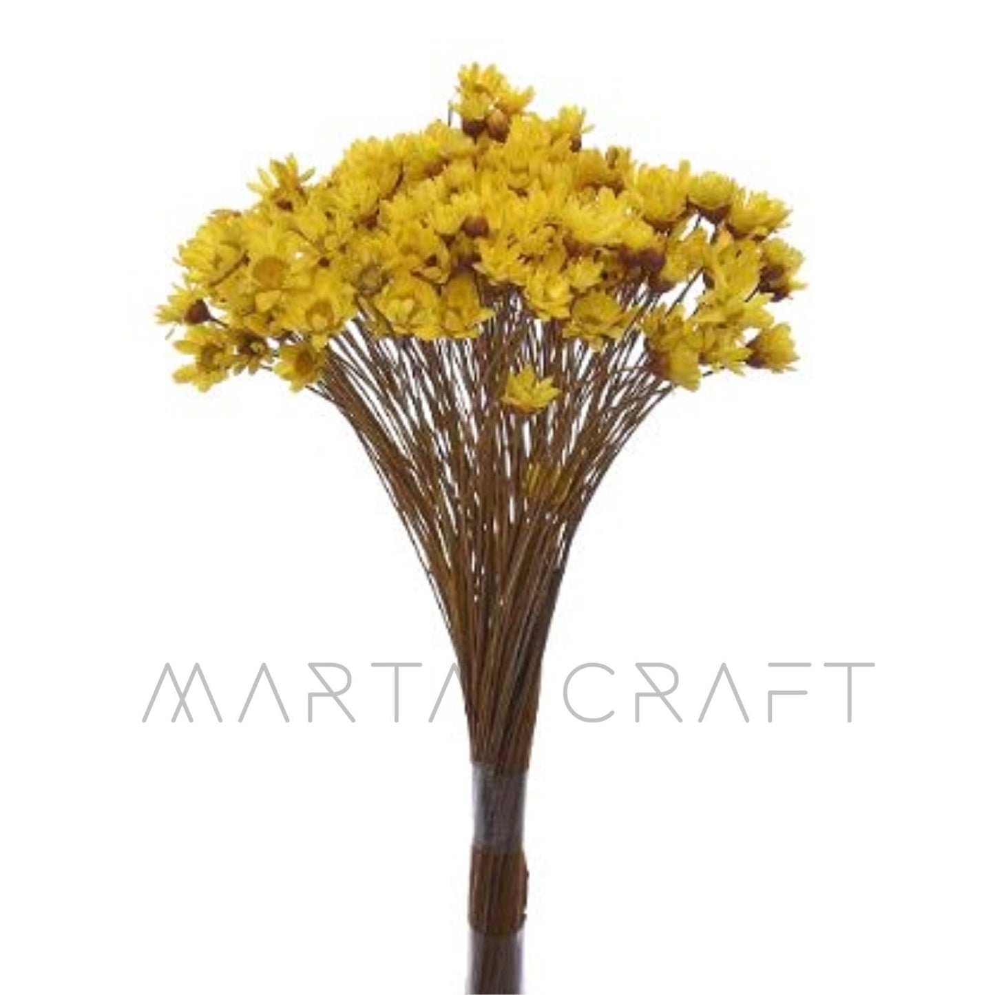 Glixias Flores Secas Preservadas ( Mini )± 100 cabeças