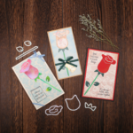 FL039 - Set Flor Rosa - Metal Die Cut