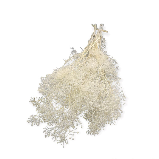 FLOR SECA PRESERVADA GYPSOPHILA MINI COR BRANCA 58 CM