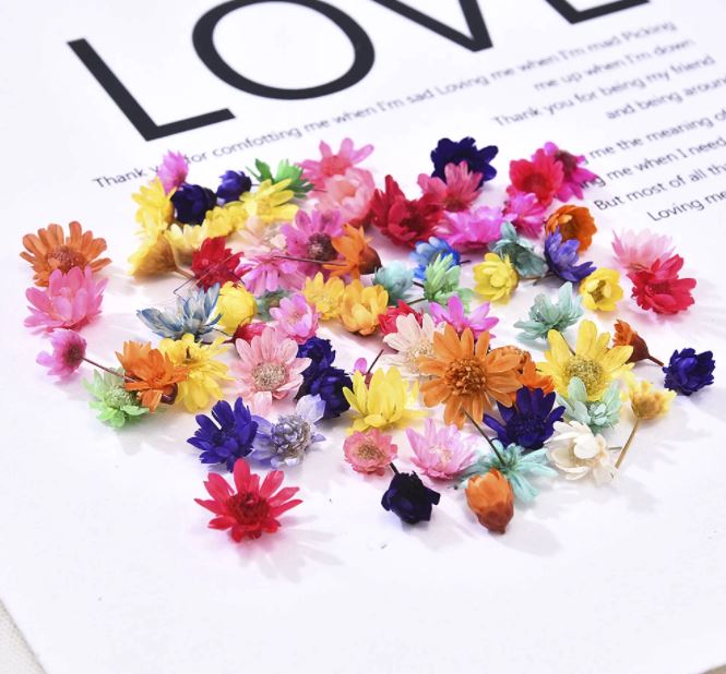 100 Mix cores Cabeça de Flores Secas Preservadas P/ Resina Epóxi jóias, unhas