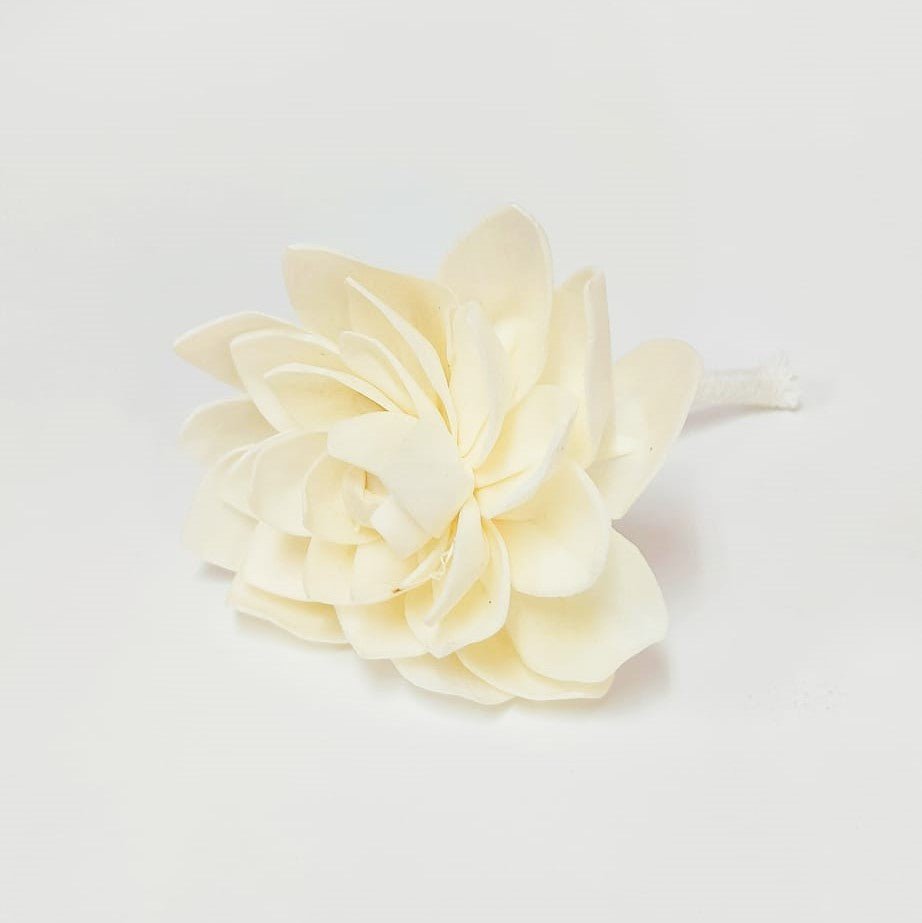Flor de com pavio para Didusor