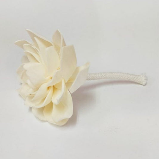 Flor de com pavio para Didusor