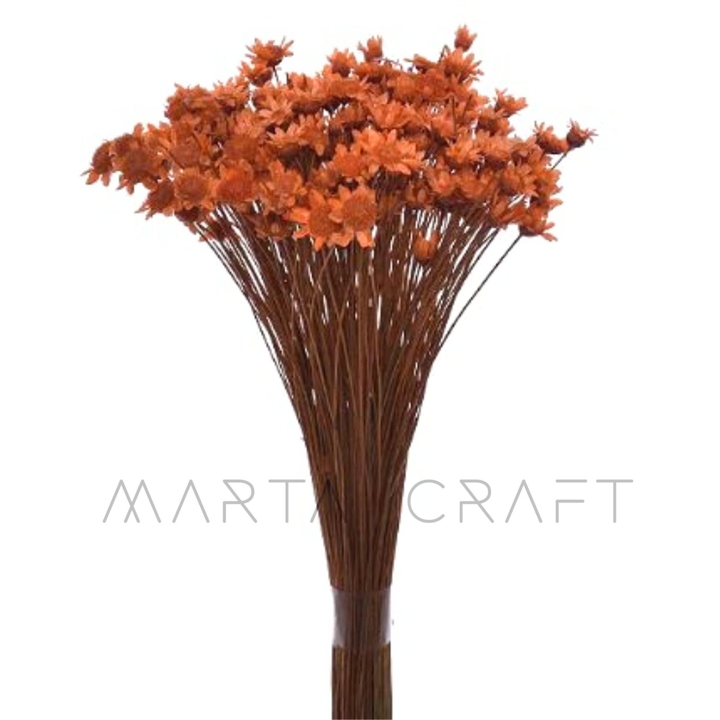 Glixias Flores Secas Preservadas ( Mini )± 100 cabeças