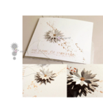 NT014 - Estrelas - Metal Die Cut