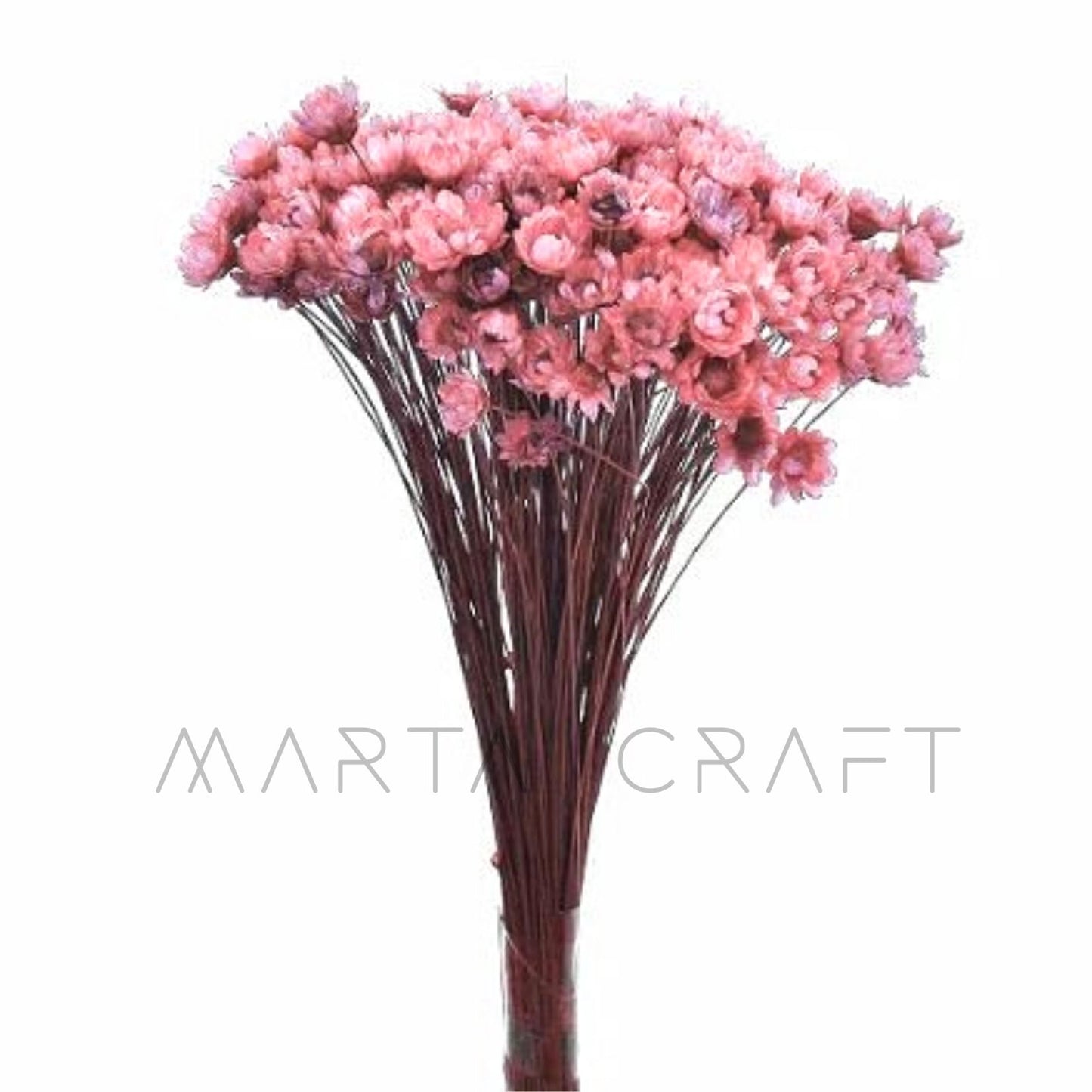 Glixias Flores Secas Preservadas ( Mini )± 100 cabeças