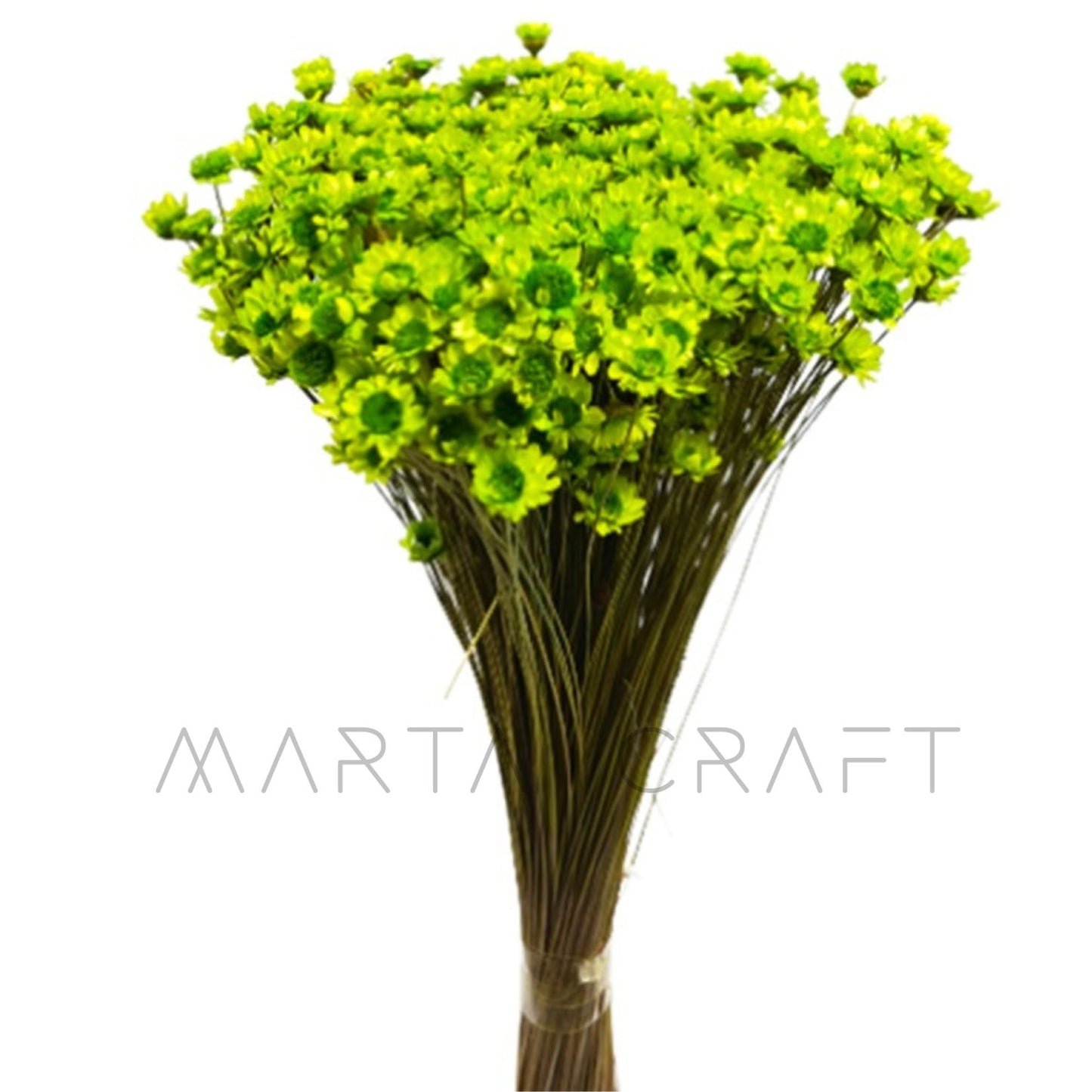 Glixias Flores Secas Preservadas ( Mini )± 100 cabeças