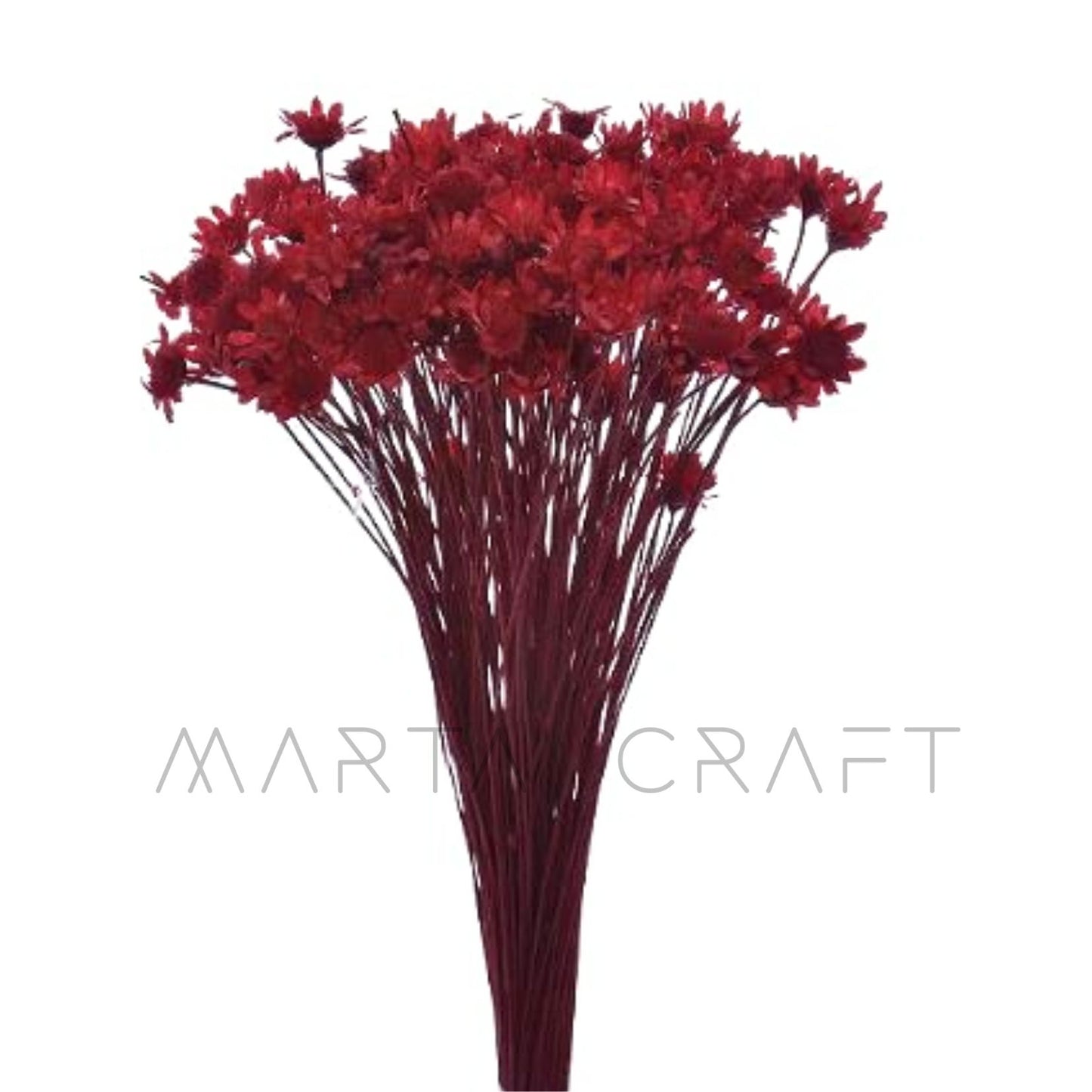 Glixias Flores Secas Preservadas ( Mini )± 100 cabeças