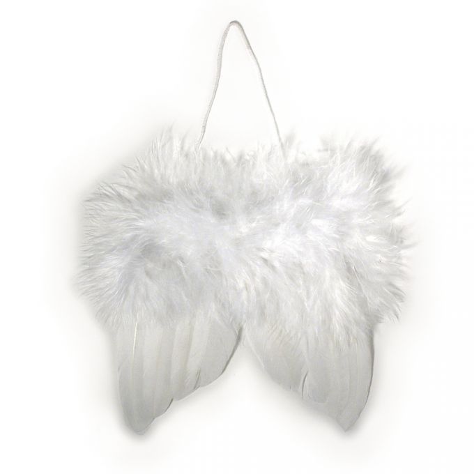 Asas de Anjo - Rayher