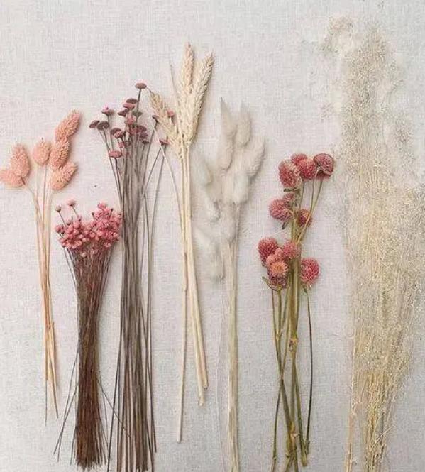 Flores - Secas