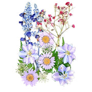 Flores Naturais secas prensadas