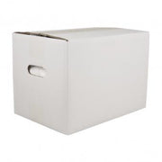 PO CERAMICO RAYSIN 100 WHITE 25KG RAYHER