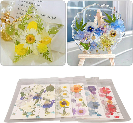 Flores Naturais secas prensadas