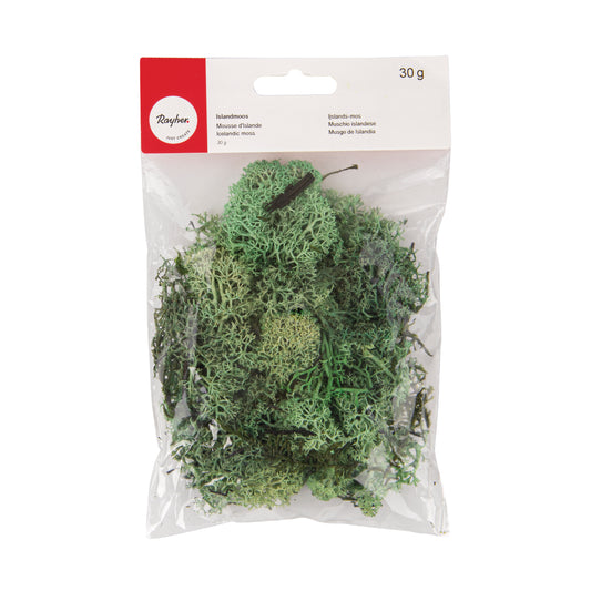 Musgo da Islândia Verde Claro 30g