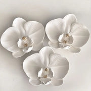 F055MS-  Molde Flor Orquídea Phalaenopsis -  2 tamanhos escolhers