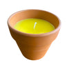 Essência aromática concentrada - Citronela