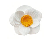 F028MS-  Flor hibisco  Molde de Silicone