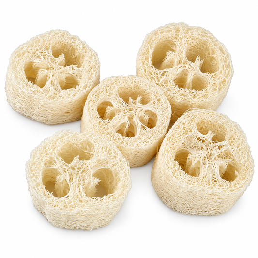Bucha Vegetal Natural em Rodelas para Sabonetes e Esfoliação – 5 Unidades