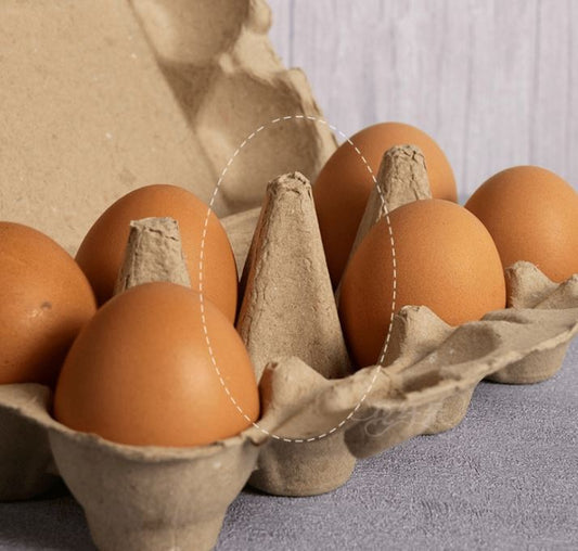 4 Peças, Caixa De Embalagem De Ovos vazia