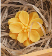 F067MS-  Molde Camellia c/s perfuração