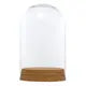 Cúpula - Redoma - Capuz de vidro com base de cortiça - Escolher