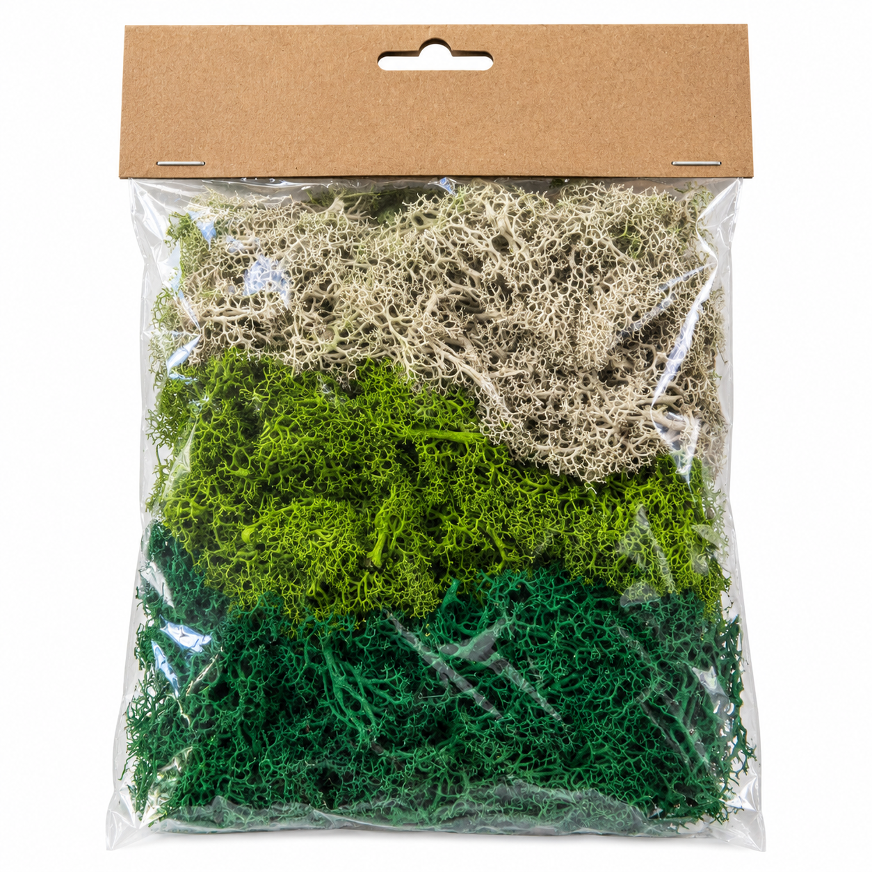 Musgo Decorativo Sortido – 75 g