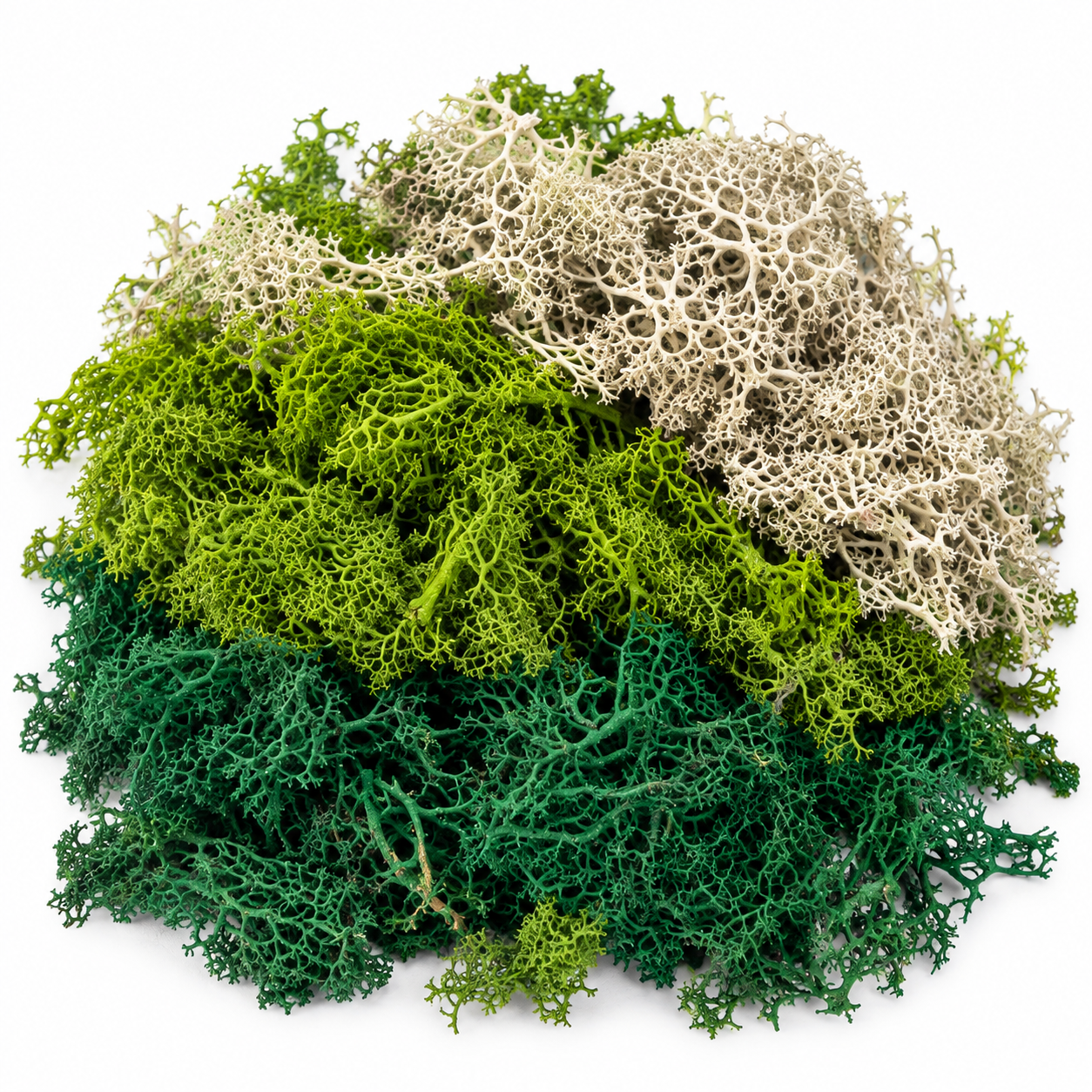 Musgo Decorativo Sortido – 75 g