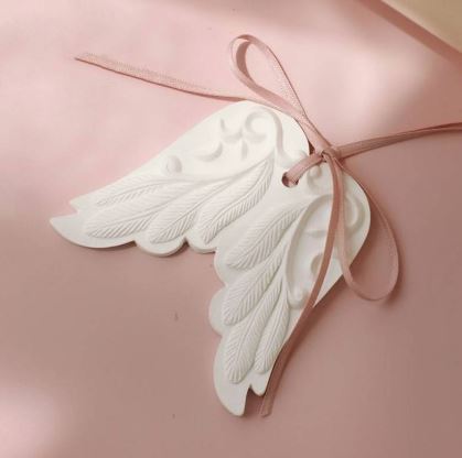 NA062MS - Molde Asas de Anjo