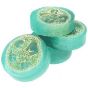 Bucha - Esponja natural lufa em rodelas 5 unidades