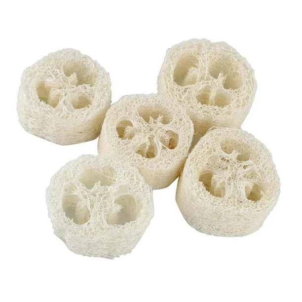 Bucha - Esponja natural lufa em rodelas 5 unidades