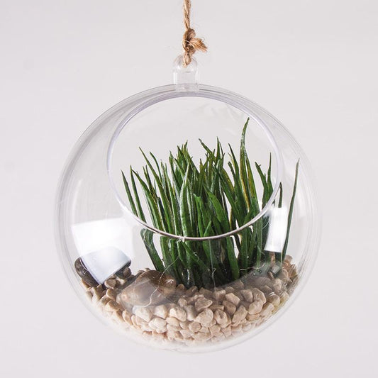 Bola de plástico com recorte , 2 peças, 12cm ø abertura ø7,5cm, cristal