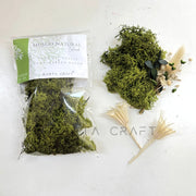 Musgo verde Natural  25 gr