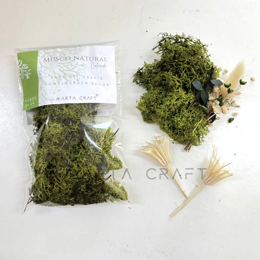 Musgo verde Natural 25 gr