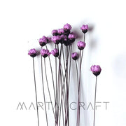 Glixias Flores Secas Preservadas ( Mini )± 100 cabeças 