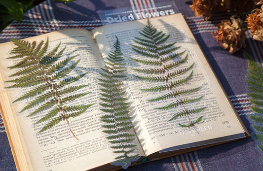 AT064 -6 pçs / conjunto Adesivos Vintage Plantas Flor Bullet Journal Adesivos PET decorativos Scrapbooking