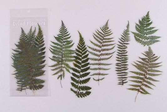 AT064 -6 pçs / conjunto Adesivos Vintage Plantas Flor Bullet Journal Adesivos PET decorativos Scrapbooking