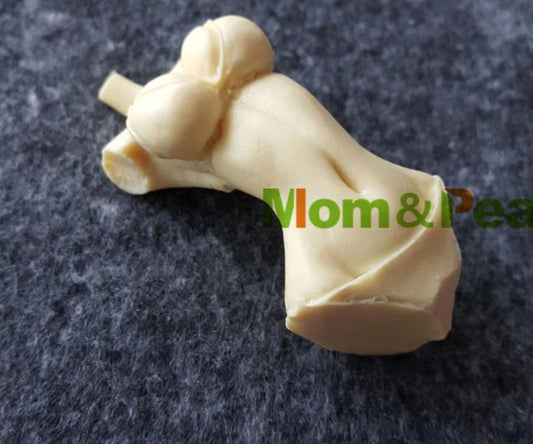 D036MS - Corpo Feminino-Mulher - Molde