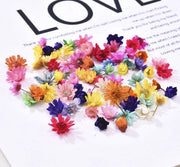 100 Mix cores Cabeça de Flores Secas Preservadas P/ Resina Epóxi jóias, unhas