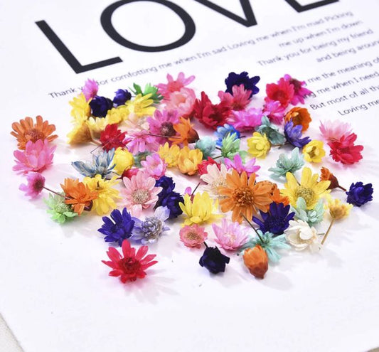 100 Mix cores Cabeça de Flores Secas Preservadas P/ Resina Epóxi jóias, unhas
